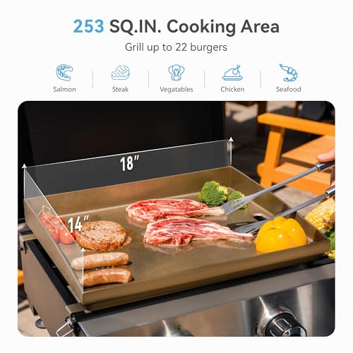 2 Burner BBQ Propane Gas Griddle with Collapsible Stand for Outdoor Cooking (Portable Griddle)