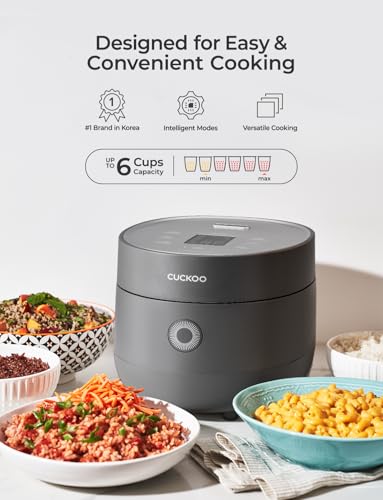 Micom Fuzzy Logic Rice Cooker (GRAY / 6 CUP)