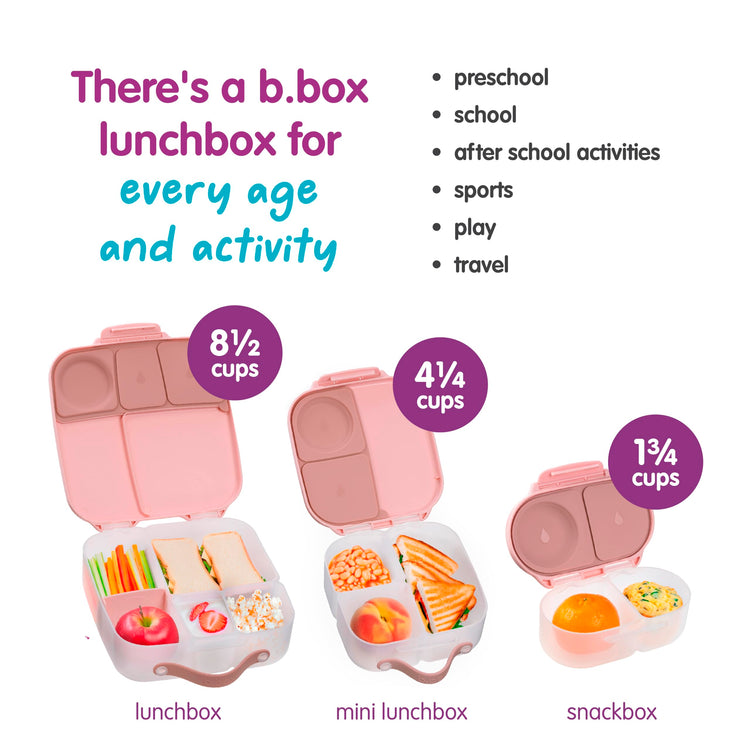 Snack Box Snack Containers for Kids (1-pack / Blush Crush)