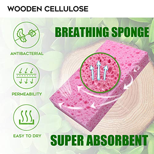 Compressed Cellulose Kitchen Sponges 24Pack (Large(Pack of 24))