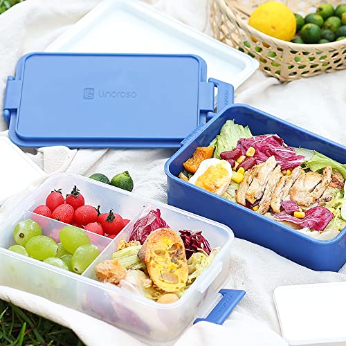 Stackable 2 Tier Adult Bento Box (Classic Blue)