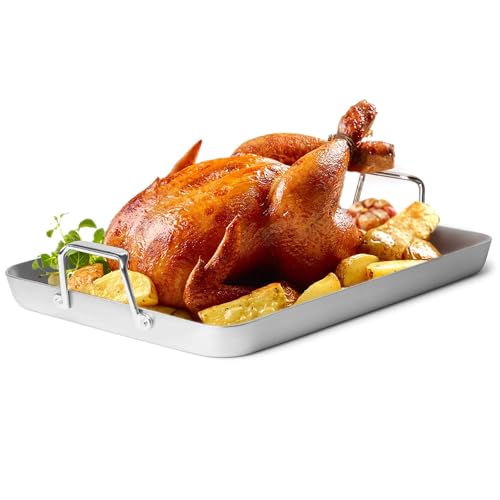 Stainless Steel Roasting Pan with Handles (18 inch)