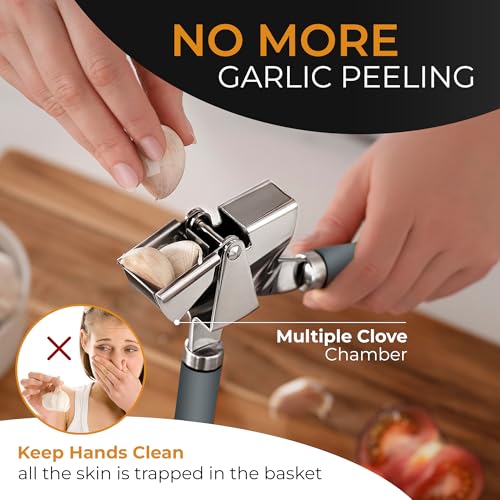 Garlic Press and Peeler Set (Gray)