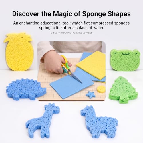 36 Pk Pop Up Compressed Cellulose Kitchen Sponges