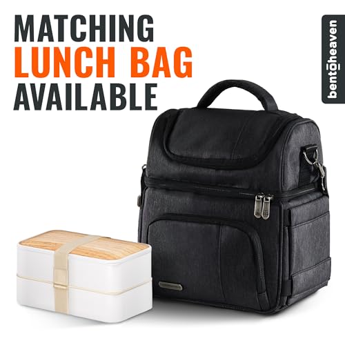 Bento Box Adult (Bright Light)