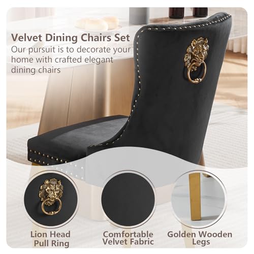 Black Velvet Dining Chairs Set of 2 (Classic Black)