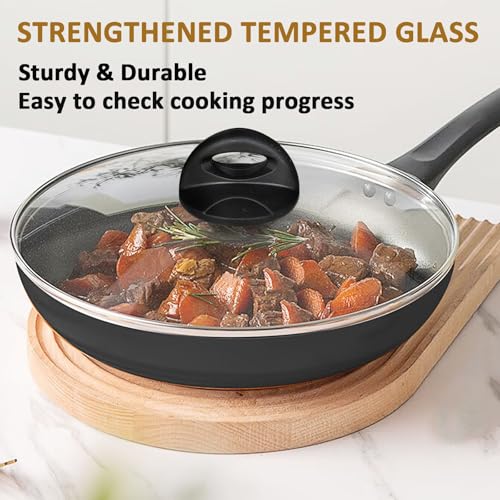 Glass Lids for Pot and Pan (10.25 Inch)