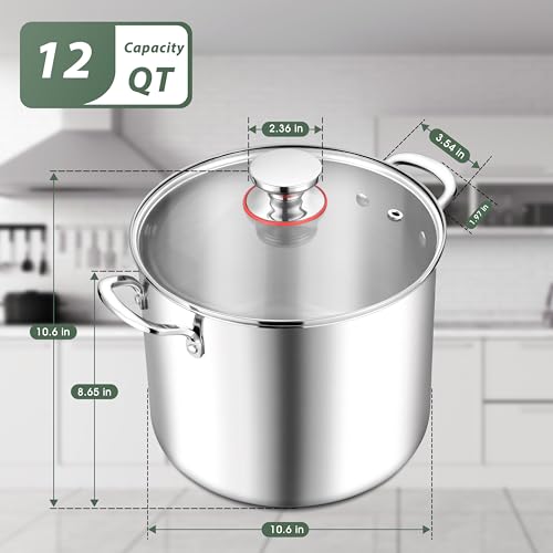 12 Quart 18 10 Stainless Steel Stock Pot with Lid (12 Quarts)