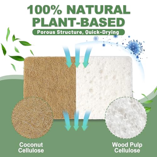 Natural Sponges for Dishes (32 Pcs / 32 Pcs)