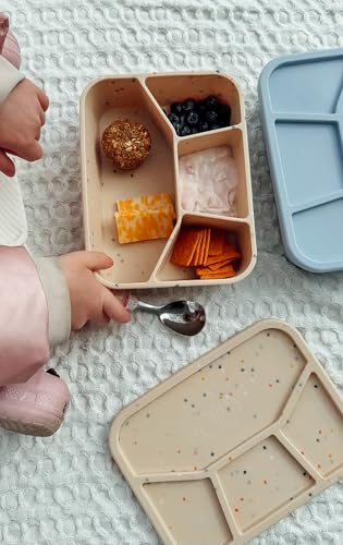 Leak Proof Square Bento Box Food (Periwinkle)