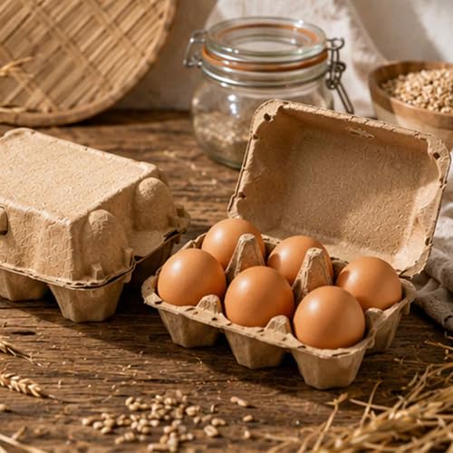 40 Pack Egg Cartons Cheap Bulk (6 Count, 40 Pack)