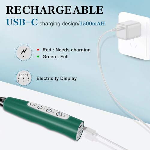 Milk Frother Wand Rechargeable Handheld Whisk Coffee 3 Speed Adjustable (Basic Frother / Green)