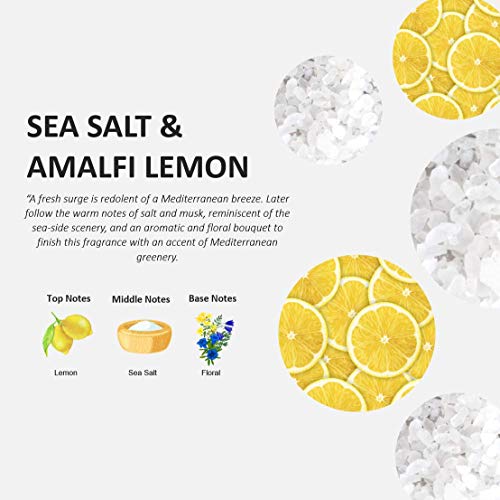 Fruits & Passion Cucina Dish Soap Detergent Refill Sea Salt and Amalfi Lemon