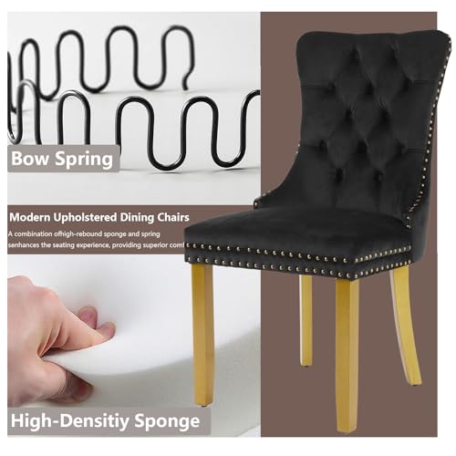 Black Velvet Dining Chairs Set of 6 (Classic Black)