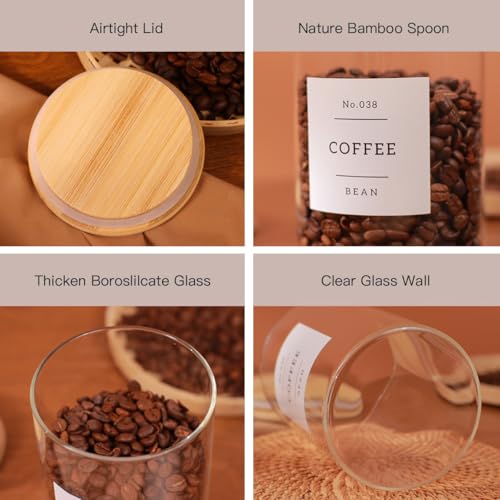 6 Pack Borosilicate Glass Storage Jars with Bamboo Lids + 132 Pre (6 pack)