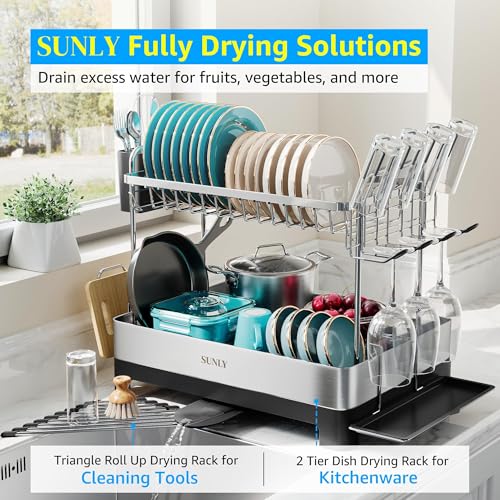 2 Tier Dish Drying Rack (Black)