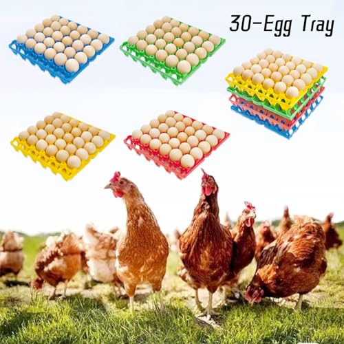 4 Pack Blue Rectangular Plastic Egg Tray (4-Pack Blue)