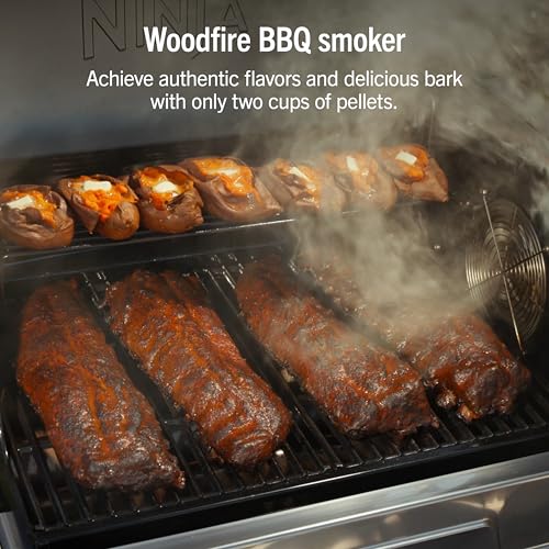 FlexFlame Grill & Smoker (Stainless Steel)