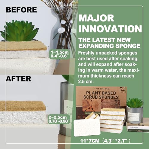 Natural Sponges for Dishes (32 Pcs / 32 Pcs)