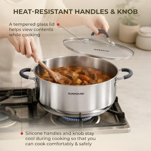 3.1 QT Stainless Steel Steamer Pot for Cooking Vegetables (3.1 Quarts)