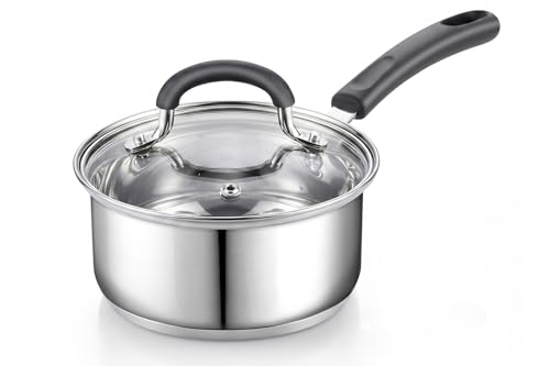 Professional 1 Quart Stainless Steel Saucepan with Lid (Silver / 1 Quarts)