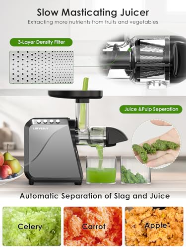 Cold Press Slow Juicers with Electric Coffee Grinder for Home & Office (Meteorite Gray)