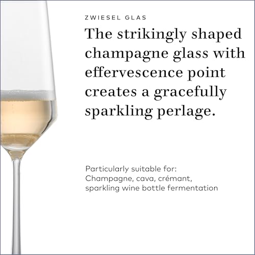 Pure Champagne Glass (Set of 4 / Champagne Glass)