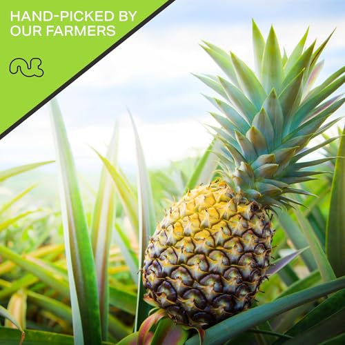 Dried Pineapple Chunks (Dried Pineapple Chunks / 48 oz)