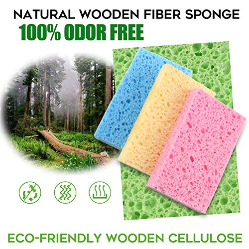 Compressed Cellulose Kitchen Sponges 24Pack (Large(Pack of 24))