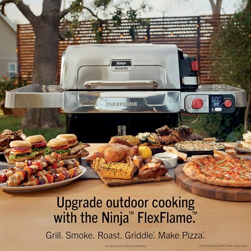 FlexFlame Grill & Smoker (Stainless Steel)