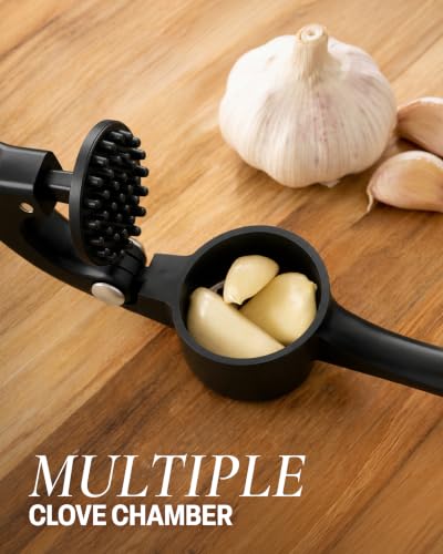 Premium Garlic Press Set (Large | Black)