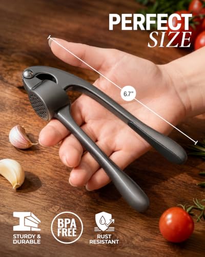 Premium Garlic Press Set (Large | Dark Gray)