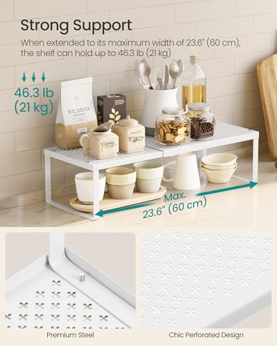 Spice Rack Expandable Kitchen Countertop Shelf (Matte White / Set of 1)