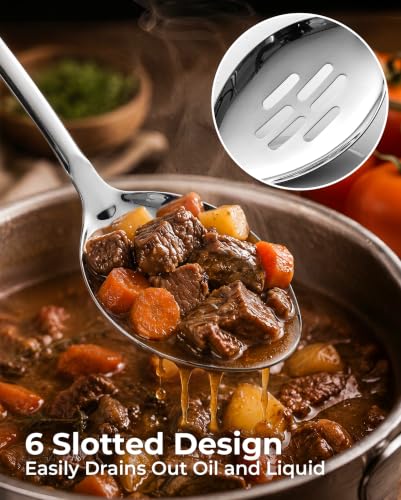 Stainless Steel Slotted Spoon (Slotted Spoon)