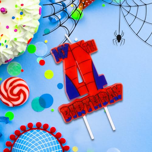 Spider Birthday Party Decorations (Spider Web 4th Candle)