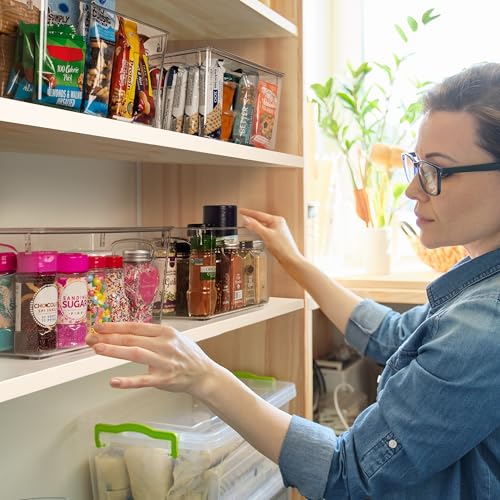 Pantry Storage Bins with Lids for Kitchen & Fridge (10"L x 6"W x 5"H)