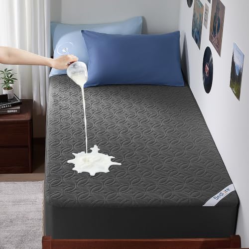 Waterproof Mattress Protector (1 Gray / Twin XL)