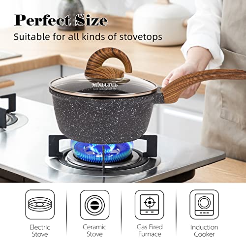 Nonstick Saucepan with Lid (Black)