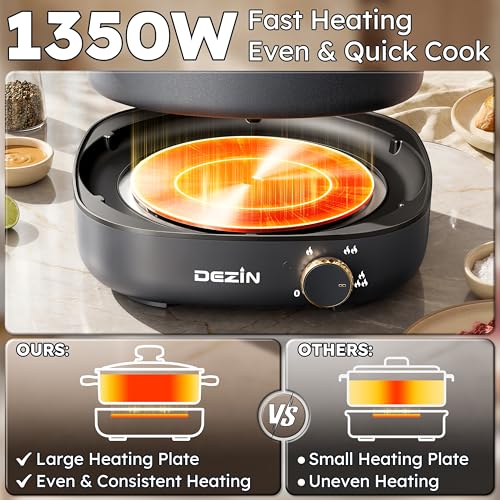 Hot Pot Electric with Divider (Gray)