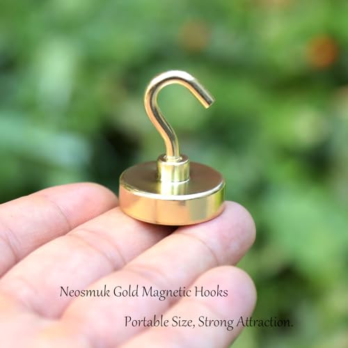 Magnetic Hooks (Gold / 1.02 inches)