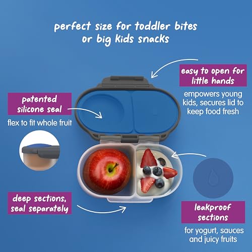 Snack Box Snack Containers for Kids (1-pack / Blue Slate)