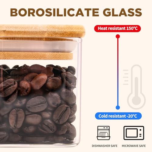 Glass Food Storage Jars Square 6oz (Square-6oz16pc)