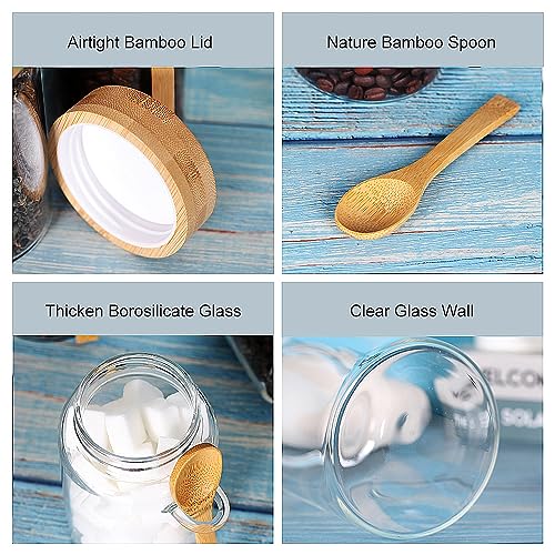 Glass Jar with Screw Lid and Spoon (Round/16oz*6/Bamboo Screw Lid)