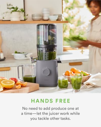 J2 Cold Press Juicer (Gray)