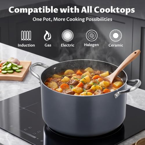 8 Quart Nonstick Stock Pot with Lid (8 Quarts)