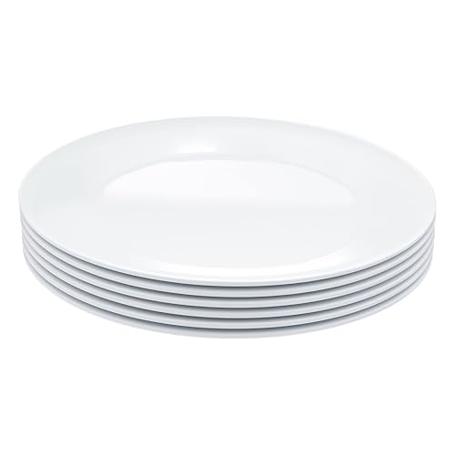 Melamine Dinner Plates for Restaurants and Home (Textured Plate / 10.5 in (Pack of 1))