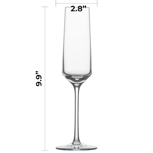 Pure Champagne Glass (Set of 6 / Champagne Glass)