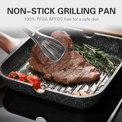 Nonstick Grilling Pan with Lid for Stove Tops (Black / 9.5 Inch)