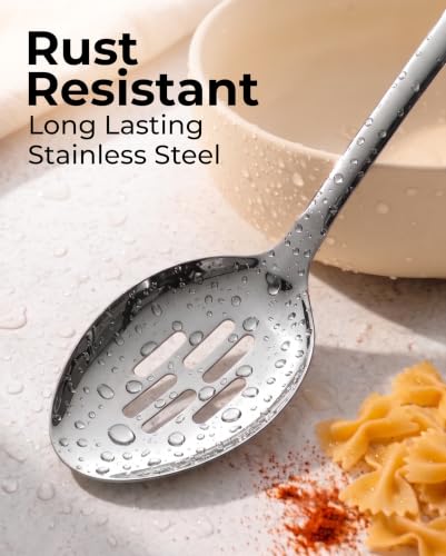 Stainless Steel Slotted Spoon (Slotted Spoon)