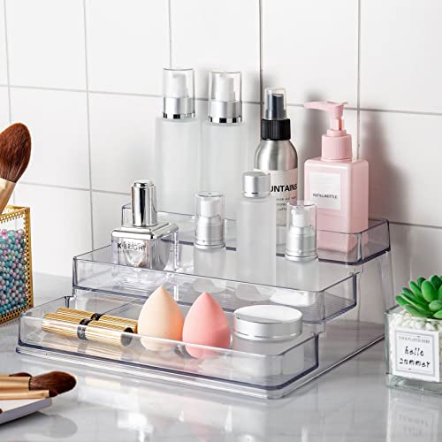 3 Tier Spice Rack Organizer (Set of 1 / Clear)